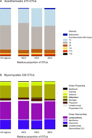 Attēlu rezultāti vaicājumam “Diachea sp.”