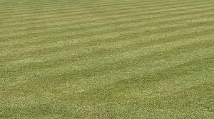 Image result for Calne Cricket Club