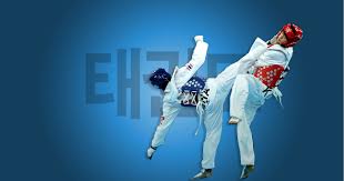Image result for Bytomic Tae Kwon Do Windsor