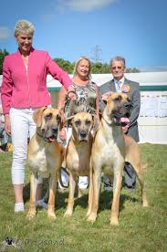 Image result for Great Dane Handball Club, Wapping, London