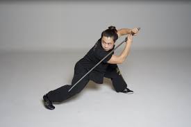 Image result for BARNET and WHETSTONE CHANGQUAN FLYING DRAGON