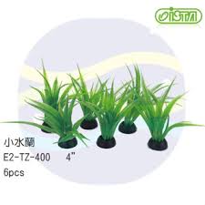 「水蘭」的圖片搜尋結果