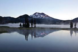 Attēlu rezultāti vaicājumam “Tubifera magna macro”