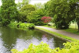 Image result for Hurlingham Park Bowls Club