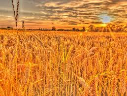 Image result for bad hdr