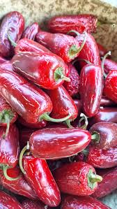 Afbeeldingsresultaat voor biker billy jalapeno hot pepper