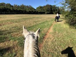 Image result for Greenways Riding Stable Lower Eashing