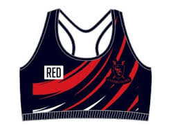 Image result for Conquerors Junior Netball Club