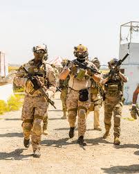 Image result for Sopley Airsoft Club