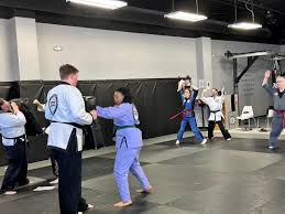 Image result for Arlington Martial Arts Academy