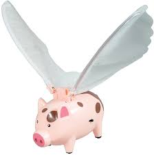 Image result for flying pigs