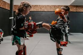 Image result for Vipers Thai/Kickboxing School