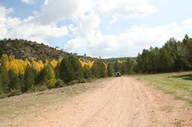 Image result for "Selva Pascuala"