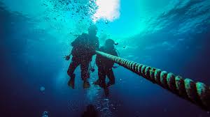 Image result for Simply Scuba