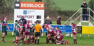 Image result for Newport (Salop) Rugby Union Football Club