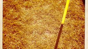 Image result for Hillyfielders Football Club