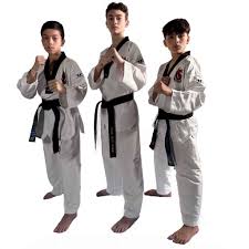 Image result for New Milton Taekwondo Club