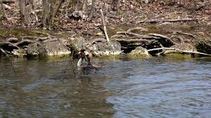 Attēlu rezultāti vaicājumam “Podiceps cristatus nest”