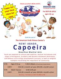 Image result for Capoeira Classes