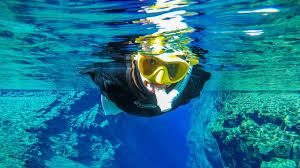 Image result for St. Albans Snorkelling Club (SASC)