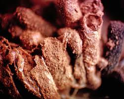 Attēlu rezultāti vaicājumam “Tubifera ferruginosa (subsp. ferruginosa)”