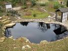 Kingston Lacy Japanese Garden - via Daymix