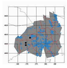 Attēlu rezultāti vaicājumam “Rhabdoweisia fugax”