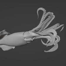 Image result for Dosidicus gigas