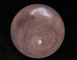 Image result for mars trees