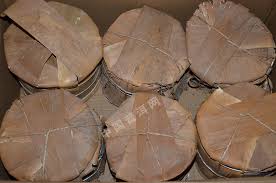 Image result for 2005早春