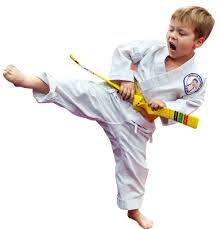 Image result for Everitt Karate Academy