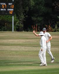 Image result for Antelope & Castle Cricket Club