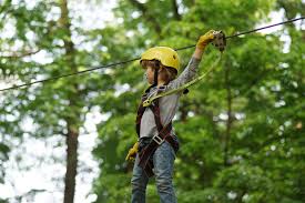 Image result for Go Ape! Whinlatter