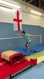 Image result for Swallows Of Helston Gymnastics Club