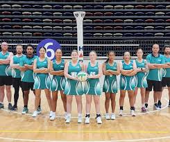 Image result for Ipswich Ladies Netball Club