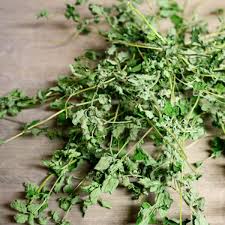 Image result for Oregano