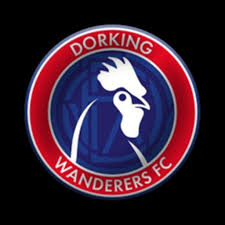 Image result for Dorking Wanderers F C