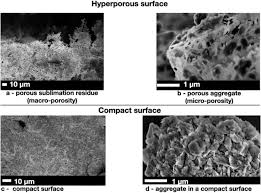 Attēlu rezultāti vaicājumam “Conardia compacta macro”