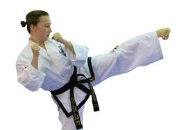 Image result for English International Allstyles Taekwon-Do