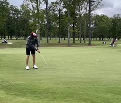 Image result for Johnstone Bowling Club