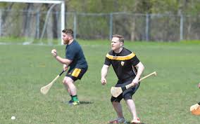 Image result for hurling