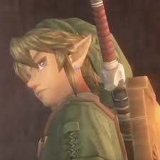 Image result for link twilight princess