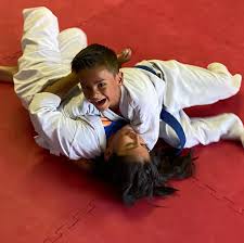 Image result for Brazilian-martial arts