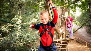 Image result for Go Ape! Leeds Castle