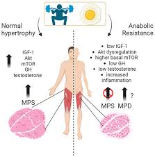 Image result for Sheffield Keep Fit Association