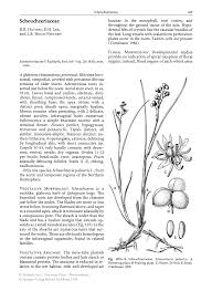 Attēlu rezultāti vaicājumam “Scheuchzeriaceae”