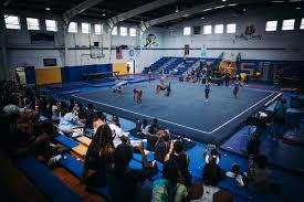 Image result for York University Gymnastics Club