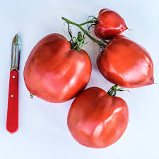 Afbeeldingsresultaat voor amish paste tomato