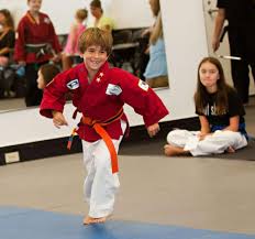 Image result for Skillz Martial Arts