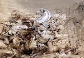 Attēlu rezultāti vaicājumam “Lopheros rubens”